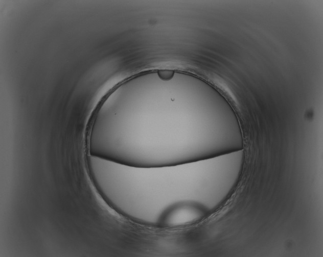 X0000091731087200708241038