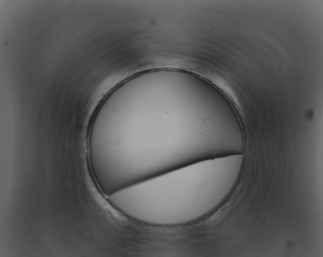 X0000091731088200708241038