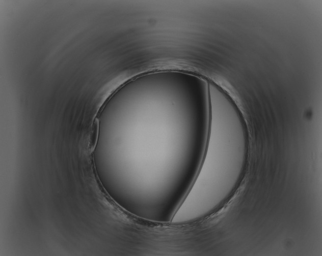 X0000091731089200708241038