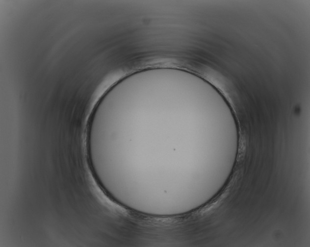 X0000091731090200708241038