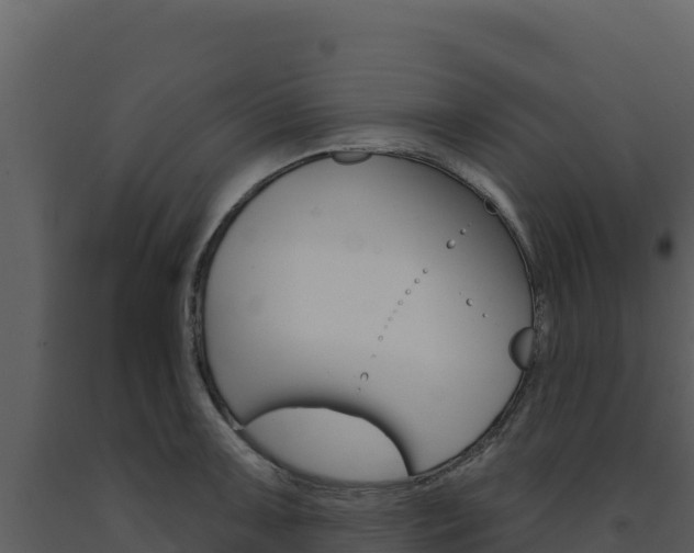 X0000091731091200708241038