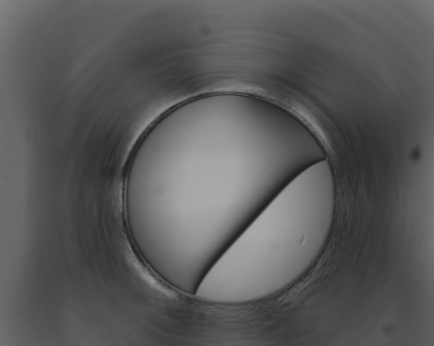 X0000091731092200708241038