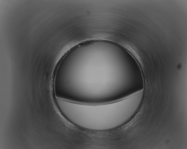 X0000091731093200708241038