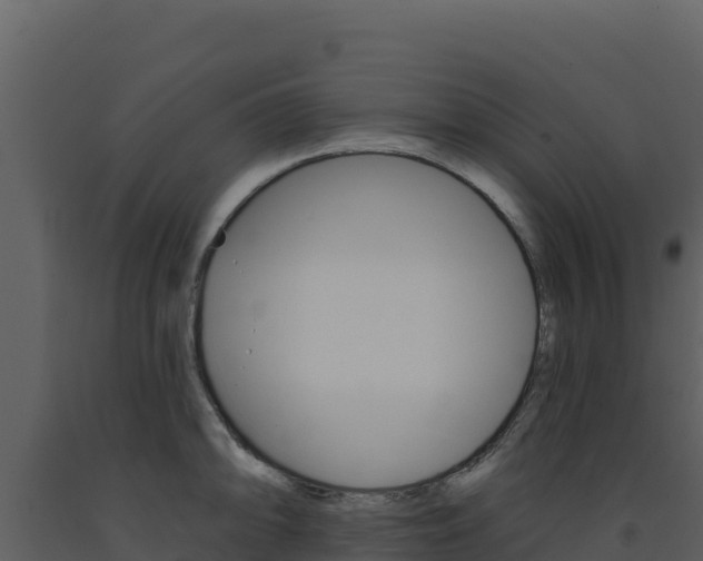 X0000091731094200708241038