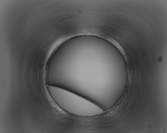 X0000091731096200708241038