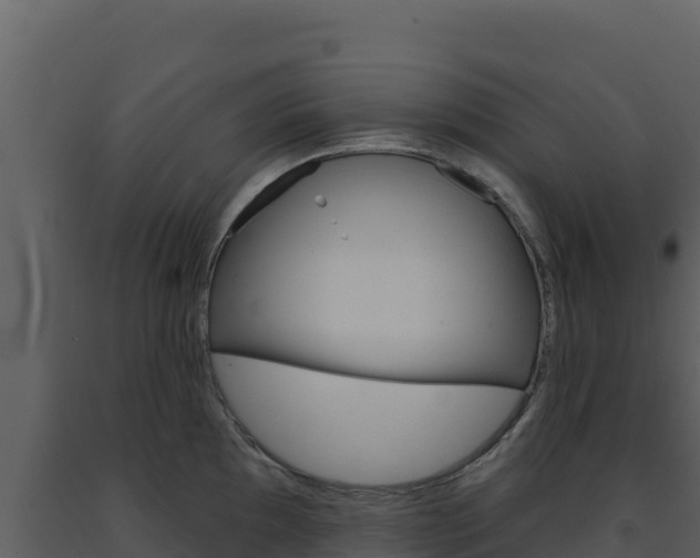 X0000091731097200708241038