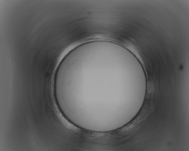 X0000091731098200708241038