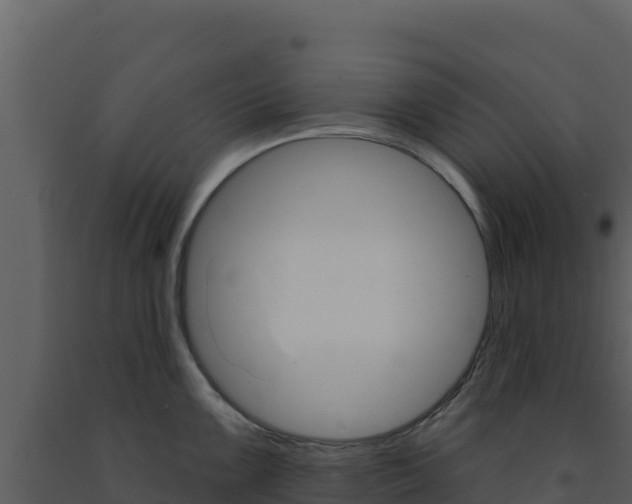 X0000091731099200708241038