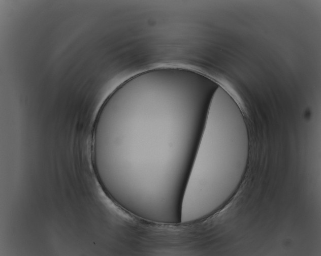 X0000091731100200708241038