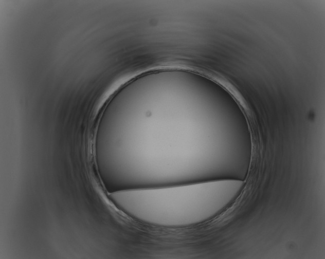 X0000091731101200708241038