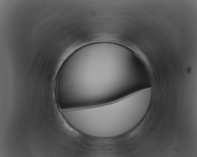 X0000091731102200708241038
