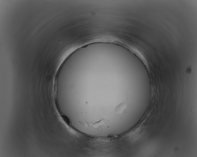 X0000091731103200708241038
