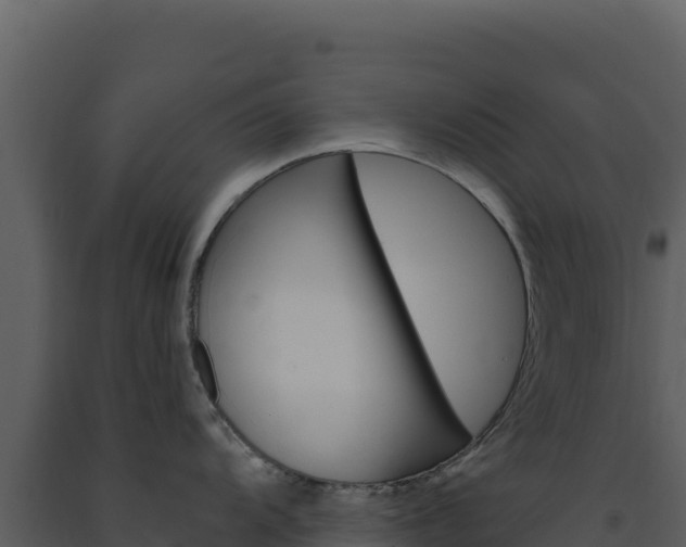 X0000091731104200708241038