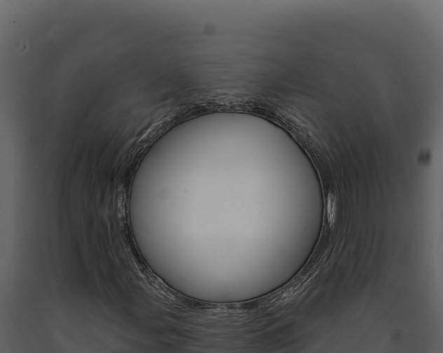 X0000091731107200708241037