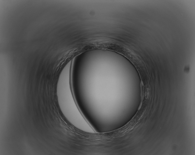 X0000091731108200708241037