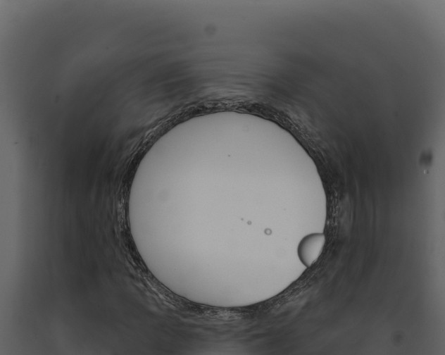 X0000091731109200708241037
