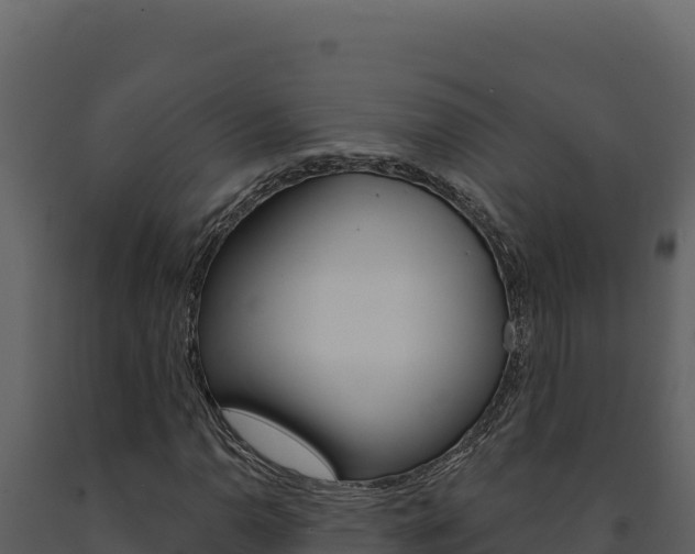 X0000091731110200708241037
