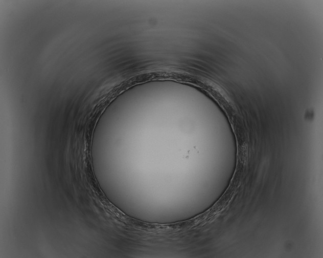 X0000091731111200708241037