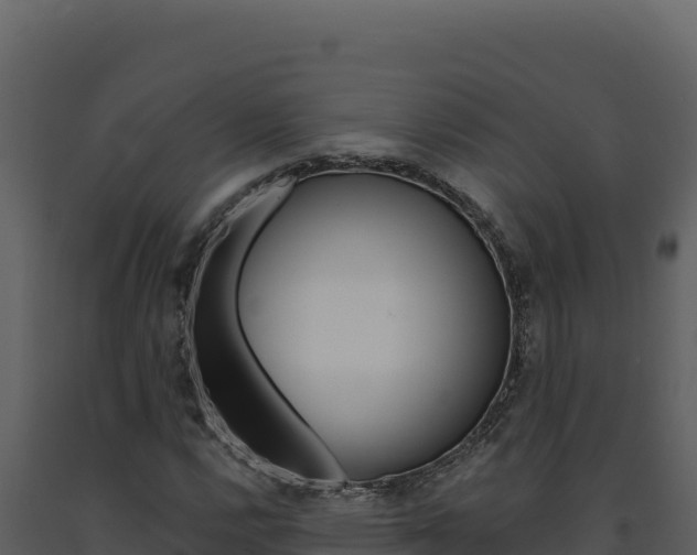 X0000091731112200708241037