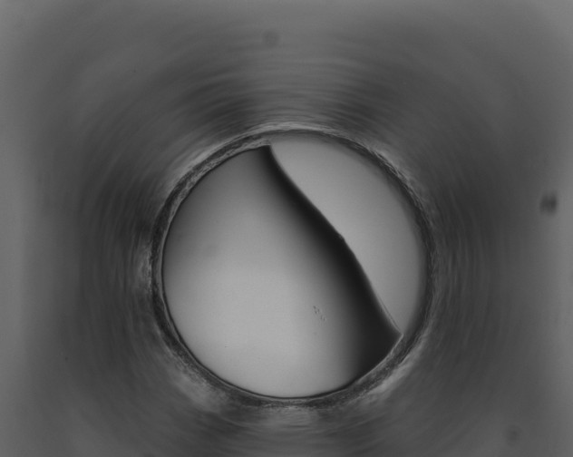 X0000091731113200708241037