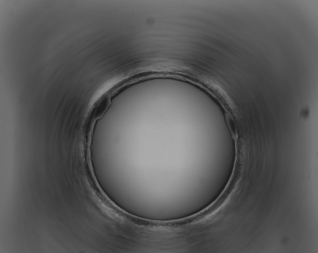 X0000091731114200708241037