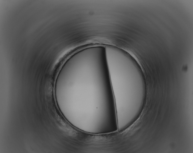 X0000091731115200708241037