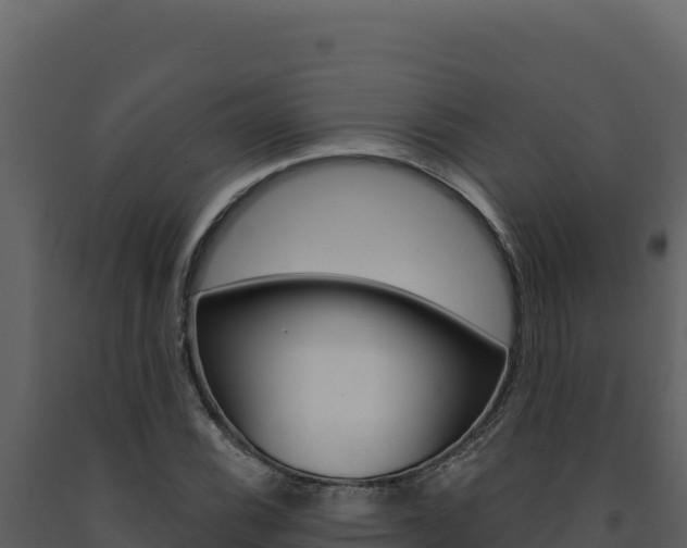 X0000091731116200708241037