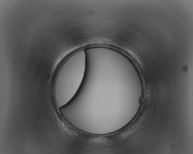 X0000091731117200708241037