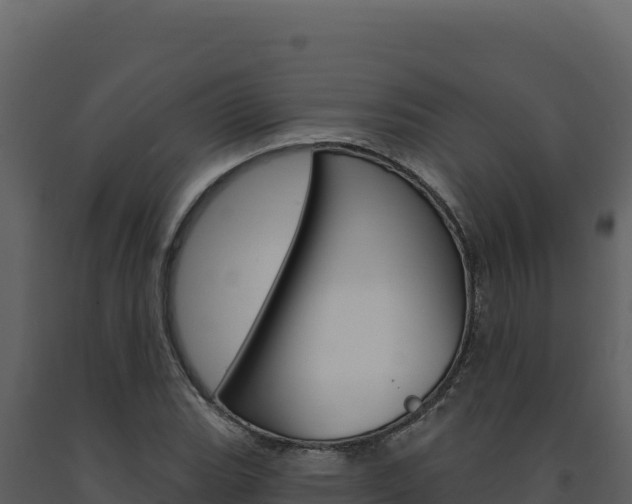 X0000091731119200708241037