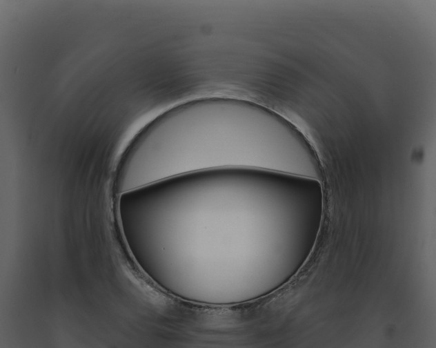 X0000091731120200708241037