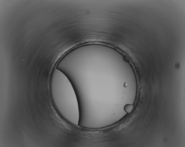 X0000091731121200708241037