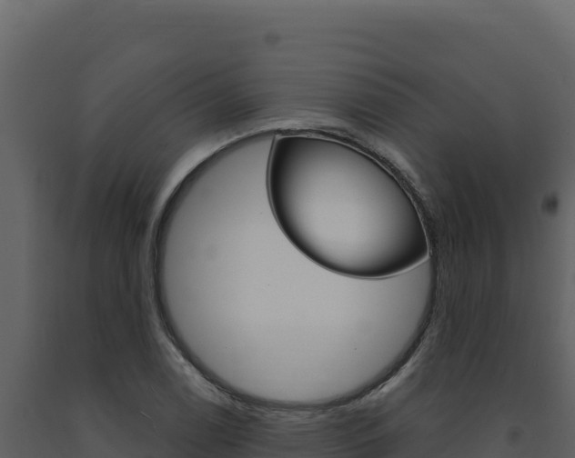 X0000091731122200708241037