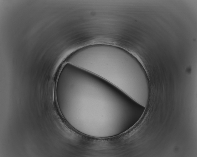 X0000091731123200708241037