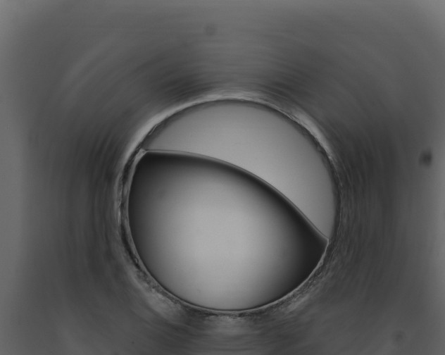 X0000091731124200708241037