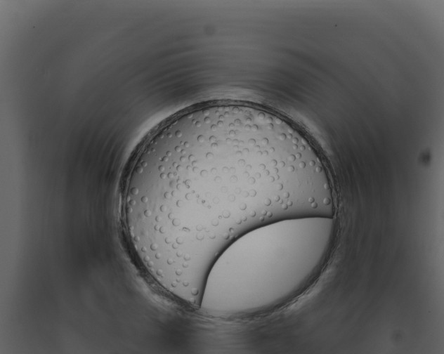 X0000091731125200708241037