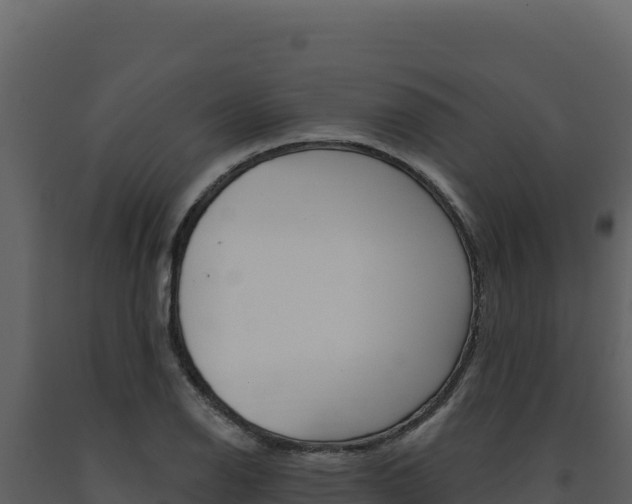 X0000091731126200708241037