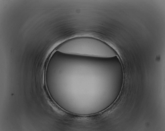 X0000091731127200708241037