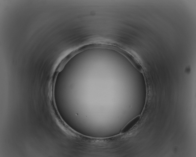 X0000091731128200708241037