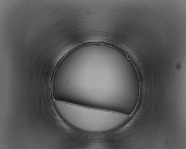 X0000091731129200708241037