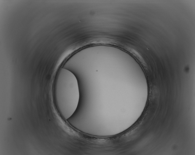 X0000091731130200708241037