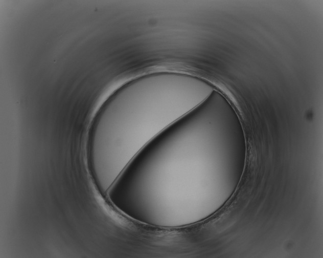 X0000091731131200708241037