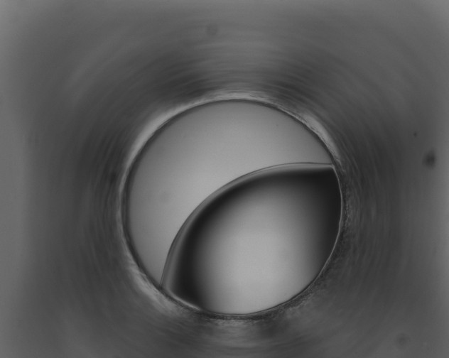 X0000091731132200708241038