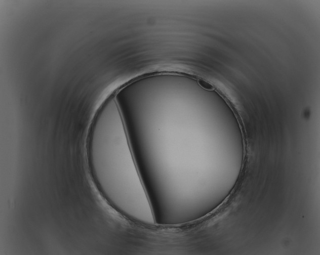 X0000091731133200708241038