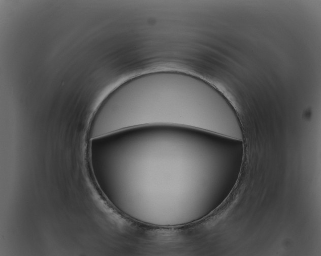 X0000091731134200708241038