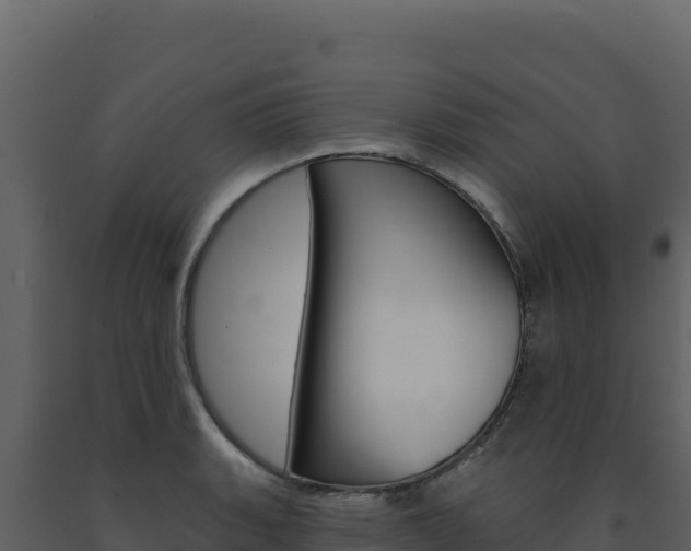 X0000091731135200708241038