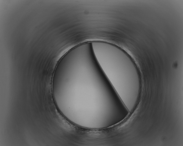 X0000091731137200708241038