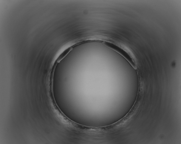 X0000091731138200708241038