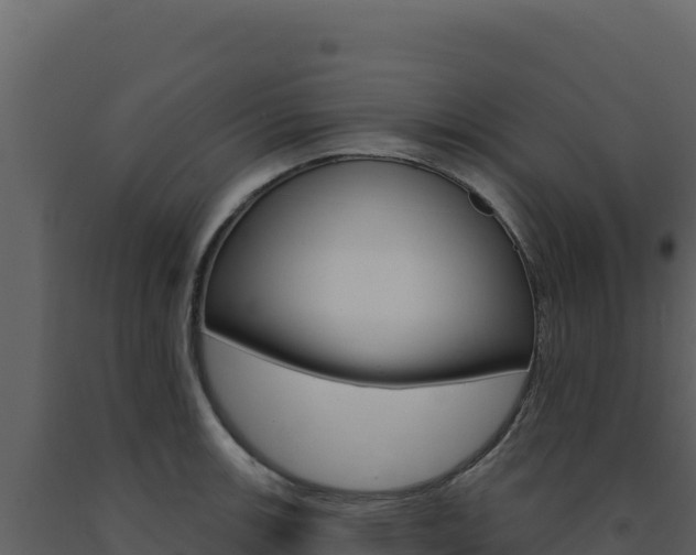X0000091731139200708241038