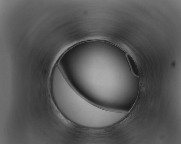 X0000091731140200708241038