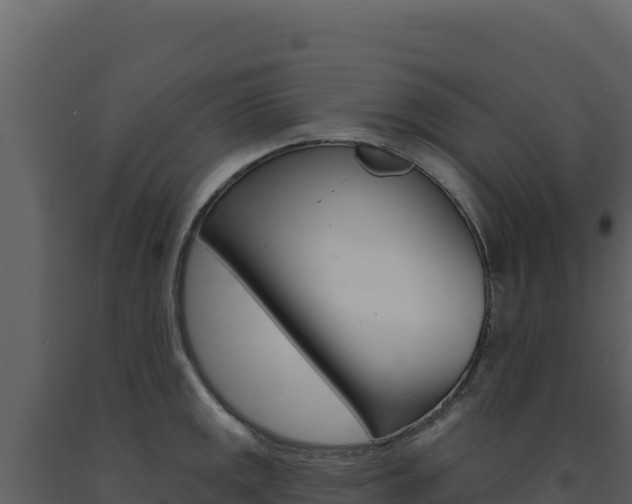 X0000091731141200708241038